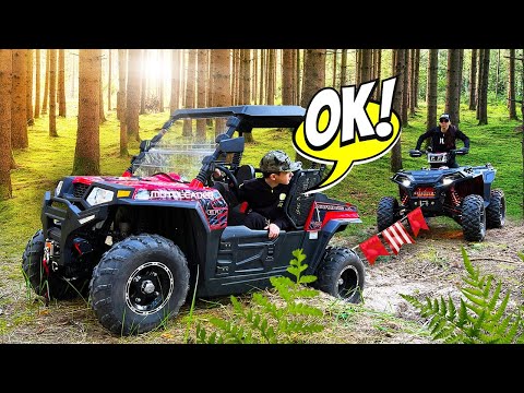 Den's adventures in the woods. Best stories⚡️