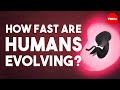 Human Adaptations and Genetic Concepts