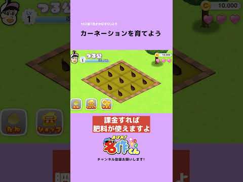母の日のカーネーション育ててみた #shorts