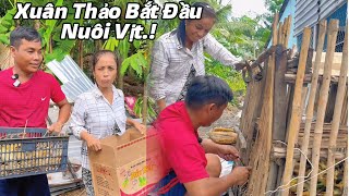 Vợ Chồng Xuân Thảo Bắt Đầu Hành Trình Nuôi Vịt.#XuânThảo.#U30 