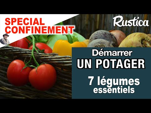 Mon premier potager : 7 légumes essentiels pour jardiniers en herbe