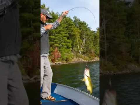 #fishingvideo 😀😀 #whowillbemylifepartnerta #fishing