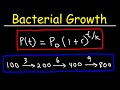 Bacterial Growth and Population Dynamics