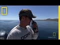 Exploration and Marine Life Challenges