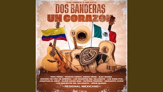 Tarde Lo Conocí (Regional Mexicano)