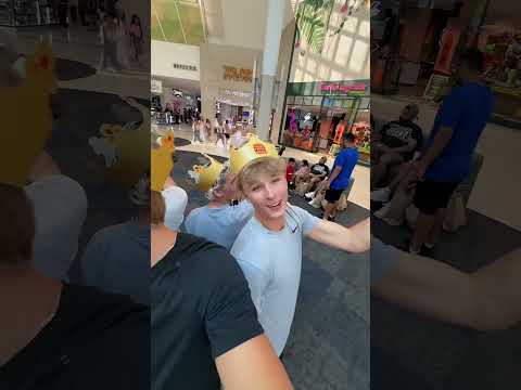 pov 1/5