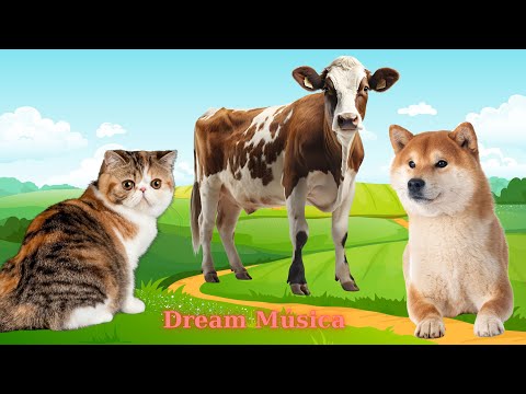 Farm Animal Life: Cow, Dog, Cat, Monkey, Duckling, Hen - Animal Sounds