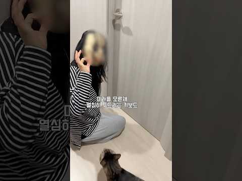 귀신 가면 쓰고 동생 방문 열게하는 법