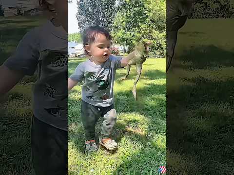 When a baby sees a frog for the first time #amazingfrog #frogweek #frogtastic #tinyfrogs #frog