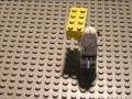hamstergangsa