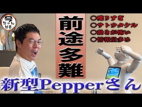 前途多難な新型Pepperさん