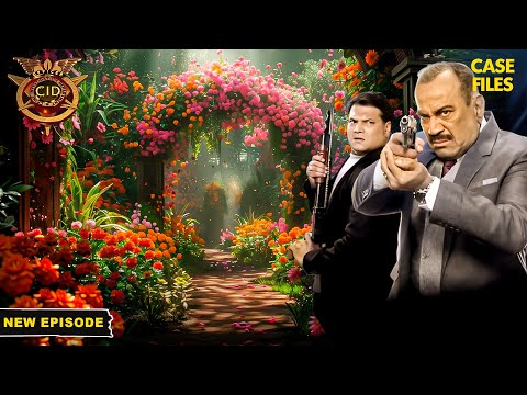 Mystery Garden के Answers के लिए CID ​​की खोज | CID New Episode 2024 | Abhijeet | Daya