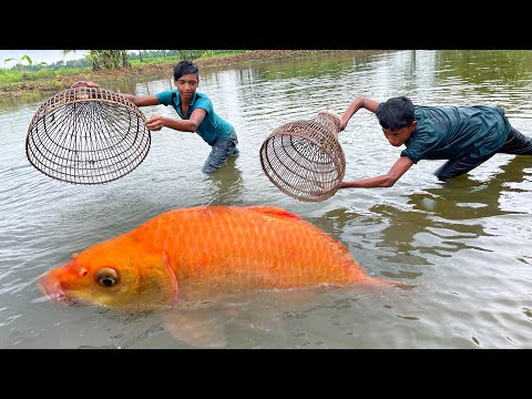 Amazing Fishing By Polo Trap | Traditional Fishing Method In Pond