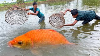 Amazing Fishing By Polo Trap | Traditional Fishing Method In Pond