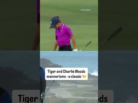 The similarities are uncanny ๐
๐