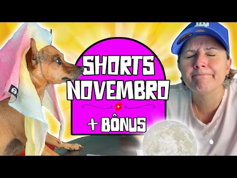 OS MELHORES SHORTS DO MÊS DE NOVEMBRO - COMPILADO PEQUENOS PRÍNCIPES