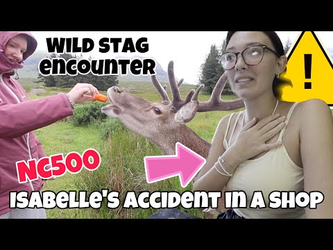 ISABELLES ACCIDENT IN A SHOP & CRAZY WILD ANIMAL ENCOUNTER!