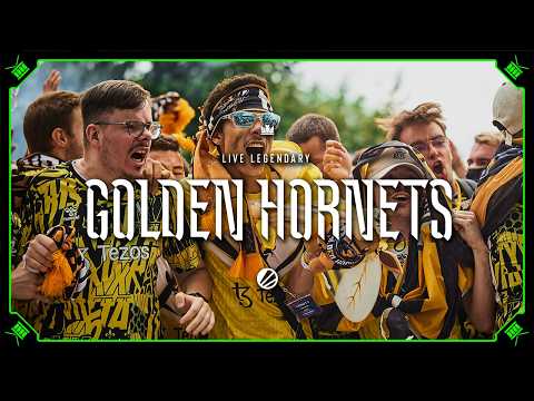 CS2 Fan Profile - Golden Hornets