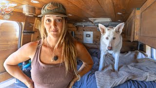 I'm Building a HOUSE Off-Grid