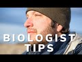 Wildlife Biology Insights and Challenges