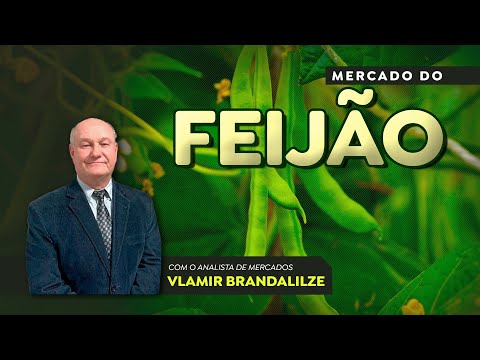 Saca do feijão carioca nobre se aproxima dos R$240; vazio de oferta deve valorizar as cotações.