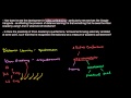 Khan Academy and Video Conferencing in Education