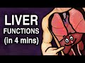 Understanding the Liver: Functions and Importance