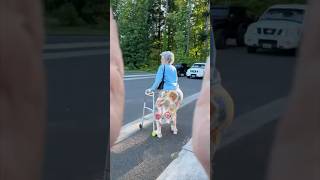 GRANNIES NIGHT OUT! #bachelorette #girlsnight #girlsnightout #bacheloretteparty