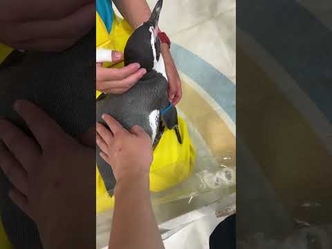 みやじマリン（宮島水族館）in 広島県 廿日市市 宮島町