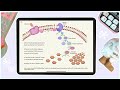 Epinephrine Signaling Pathway Concepts
