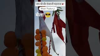 vairl mela @varlamov तेजाजी महाराज 🙏 ka कह पर डसा था 🔱