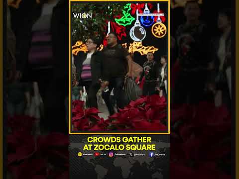 Mexico City Lights Up for Christmas | WION Shorts