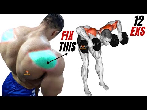 12 BEST REAR DELTOID EXERCISES  WITH DUMBBELLS  BARBELL CABLE ONLY AT GYM