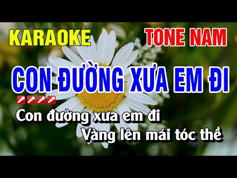 Con Đường Xưa Em Đi Karaoke Tone Nam Nhạc Sống | Nguyễn Linh