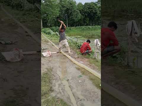 আরে কি