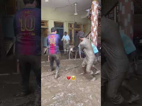 Safaii ๐ญ๐ฅฒ after #flood #shorts