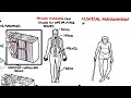 Paget's Disease: Key Concepts and Complications
