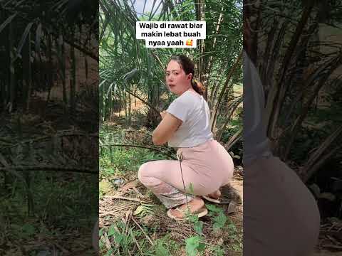 #mandisungai #shortsfeed #shorts #viral #cute #waterfall #humor #outfit #funny #comedy #vlog