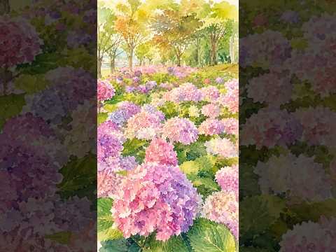 💙 사상의 여름, 삼락생태공원의 수국과 함께 시작해보세요 💙
