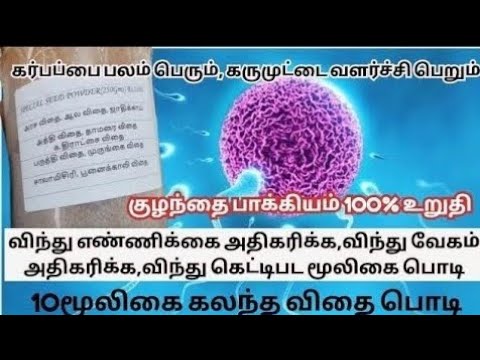 குழந்தை பாக்கியம் தரும் விதை பொடி,விந்து எண்ணிக்கை, வேகம் அதிகரிக்கும்,கருமுட்டை வளர்ச்சி பெறும்