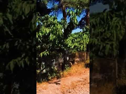 Видео на имота