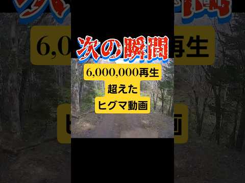 人を襲う『ヒグマ』 #ジビエ #危険生物#ヒグマ被害
