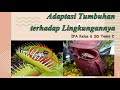 Kuis Adaptasi Tumbuhan