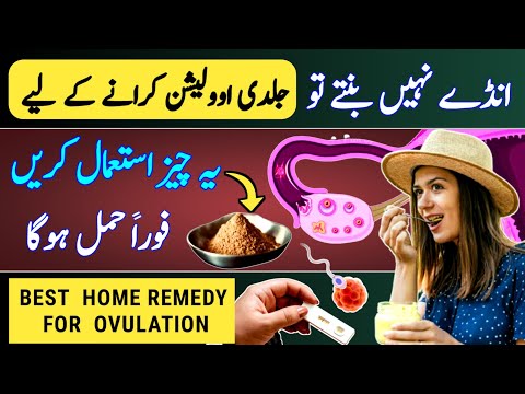 Best Home Remedy for Ovulation |How To Induce Ovulation Naturally in PCOD |Get Pregnant Fast