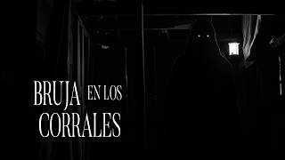 BRUJA ATACA A Animales Del RANCHO Historias De Terror - REDE