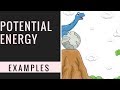 Exploring Examples of Potential Energy
