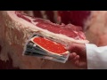 Beef Grading and Quality Assessment