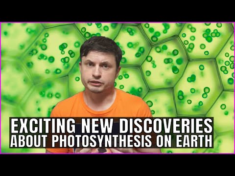 Surprising Discoveries About Photosynthesis Right Here On Earth