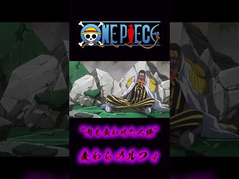 ONEPIECE “飯を食わせた人物” 麦わらのルフィ #onepiece #ルフィ #黄猿