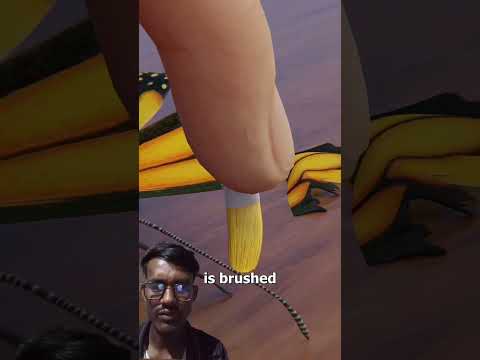 How a butterfly wing transplant works